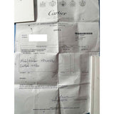 Cartier Ballon Bleu de Cartier XL “Sea Turtle” HPI00330 Enamel Dial Jun 2011