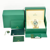 Rolex Datejust 126334 Mint Green Dial May 2025