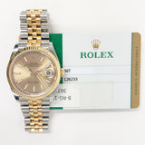 Rolex Datejust 36 126233 Champagne Dial Jan 2019