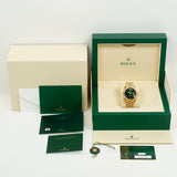 Rolex Day-Date 228238 Green Ombre Roman Dial Jul 2025