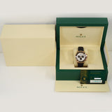 Rolex Daytona 40mm Everose Gold 126515LN Meteorite Dial Nov 2025 - View 10