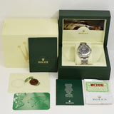 Rolex Explorer II 16570 Black Dial May 2014 - View 11