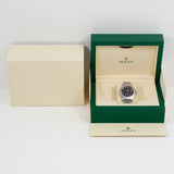 Rolex Gmt-Master 1675 Pepsi Dial 2