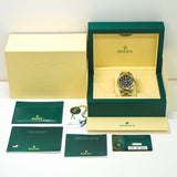 Rolex Sky-Dweller 336933 Black Dial Aug 2023