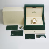 Rolex Sky-Dweller 336938 Champagne Dial May 2024