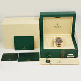 Rolex Sky-Dweller 42mm Everose Gold 336935 Chocolate Dial Sep 2023 - View 11