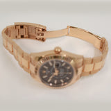 Rolex Sky-Dweller 42mm Everose Gold 336935 Chocolate Dial Sep 2023 - View 7