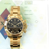 Rolex Cosmograph Daytona 116528 Black Dial