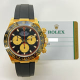Rolex Cosmograph Daytona 116515LN Black/Champagne Dial