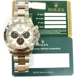 Rolex Cosmograph Daytona 116509 Panda Dial