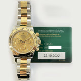 Cosmograph Daytona 116503 Champagne Dial