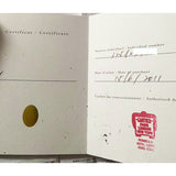 Cartier Ballon Bleu de Cartier XL “Sea Turtle” HPI00330 Enamel Dial Jun 2011