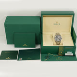 Rolex Datejust 41mm 126300 Wimbledon Dial Oct 2025 - View 11