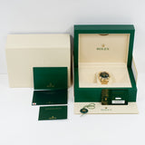 Rolex Day-Date 228238 Green Ombre Roman Dial Aug 2025