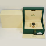 Rolex Day-Date 40mm Yellow Gold 228348RBR Green Ombre Dial Nov 2025 - View 10