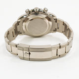 Rolex Daytona 116509 Steel Dial Dec 2022