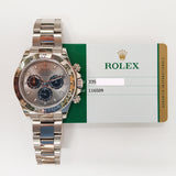 Rolex Daytona 116509 Steel Dial Oct 2019