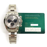 Rolex Oyster Perpetual 116509 Steel Dial Sep 2020