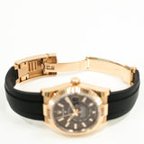 Rolex Sky-Dweller 336235 Chocolate Dial Dec 2023