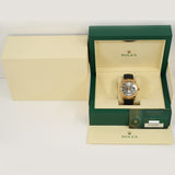 Rolex Sky-Dweller 42mm Everose Gold 326235 Slate Dial Jun 2021 - View 11