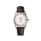 Omega Seamaster 231.13.43.22.02.004