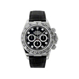 Rolex Cosmograph Daytona 116519 Black Diamond Dial