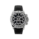 Rolex Cosmograph Daytona 116519 Black Diamond Dial
