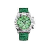 Rolex Cosmograph Daytona 116519 Green Roman Dial