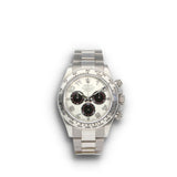 Rolex Cosmograph Daytona 116509 Panda Dial